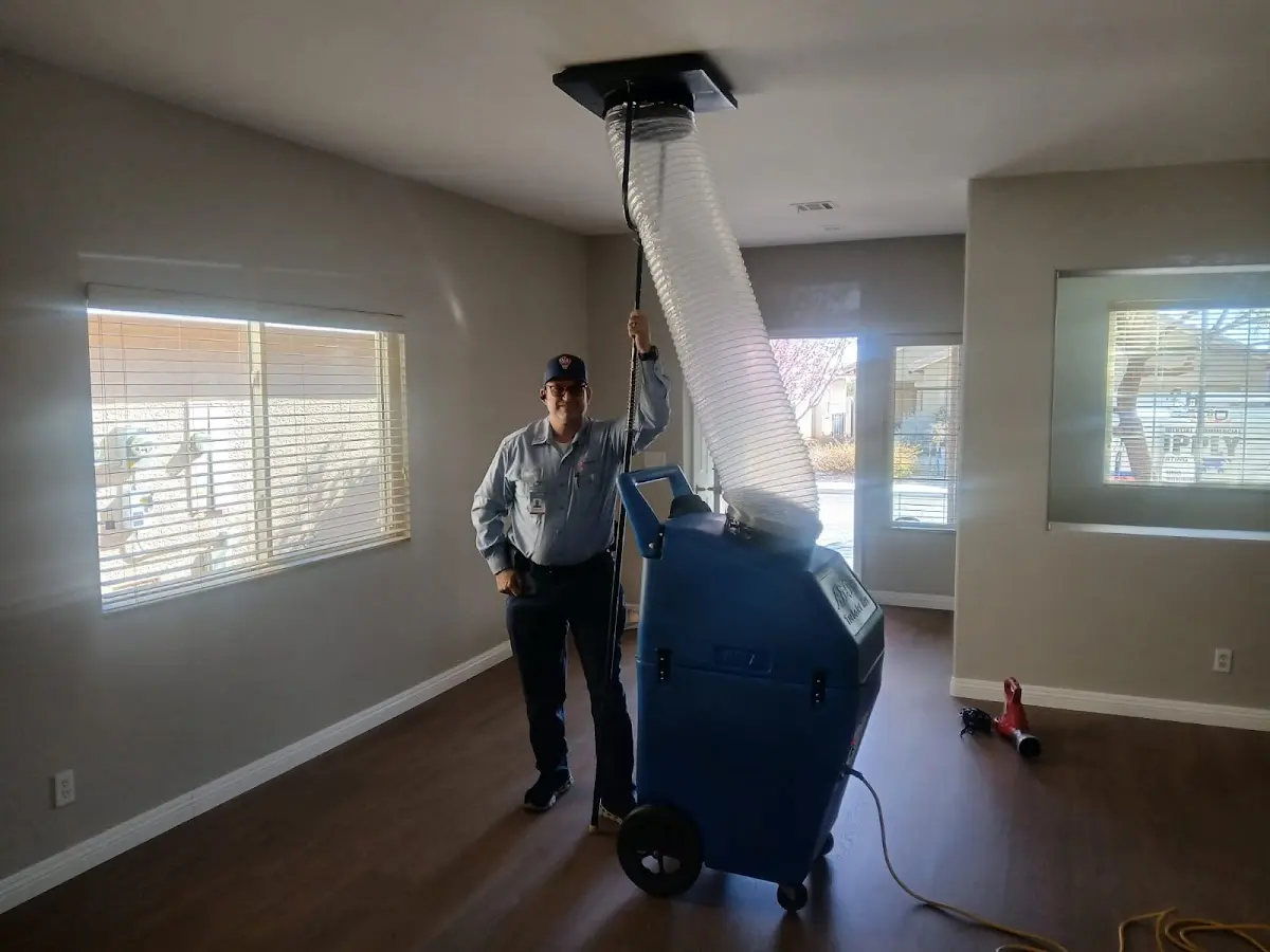 Professional Dryer Vent Cleaning work inside a Des Plaines home